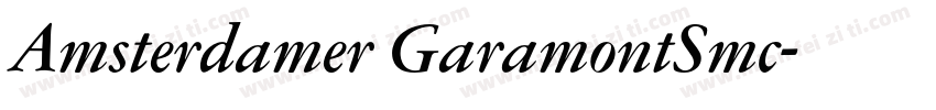 Amsterdamer GaramontSmc字体转换